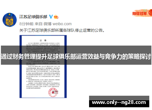 通过财务管理提升足球俱乐部运营效益与竞争力的策略探讨
