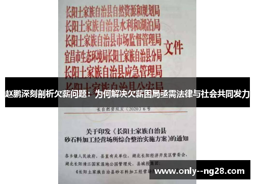 赵鹏深刻剖析欠薪问题:为何解决欠薪困局亟需法律与社会共同发力 赵鹏深刻剖析欠薪问题:为何解决欠薪困局亟需法律与社会共同发力