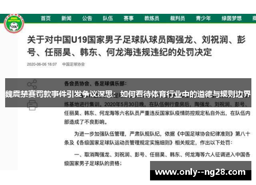 魏震禁赛罚款事件引发争议深思：如何看待体育行业中的道德与规则边界